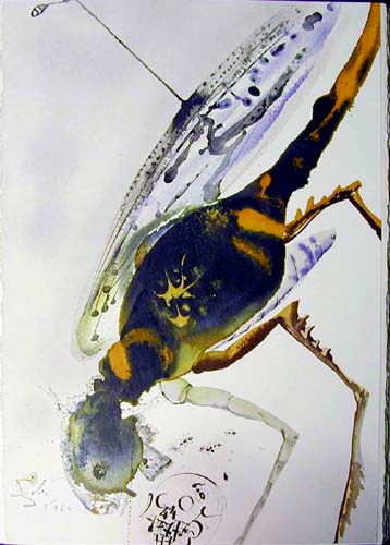 Locusta et bruchus