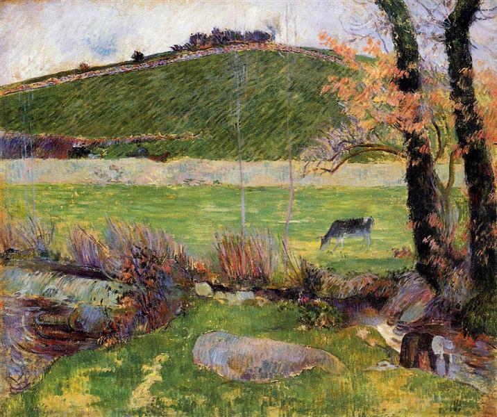 Meadow at the banks of Aven