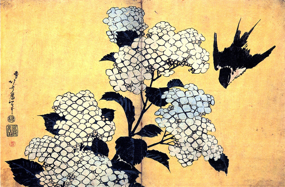 Hydrangea and Swallow 绣球花和燕子