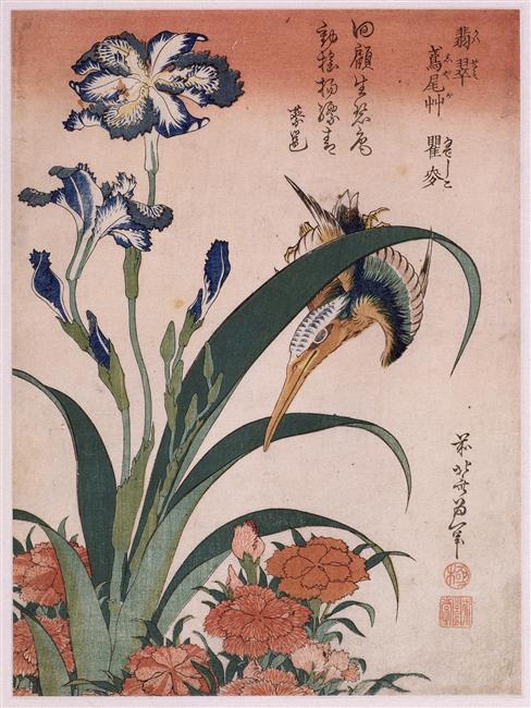 Kingfisher, carnation, iris
