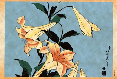 Lilly 百合花