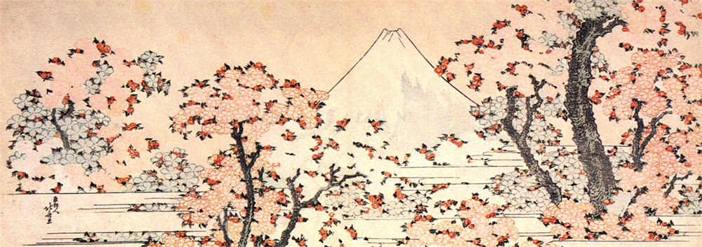 Mount Fuji seen throught cherry blossom 樱花下的富士山