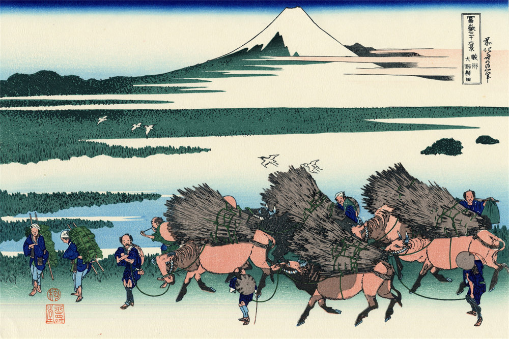 Ono Shindon in the Suraga province 骏州大野新田