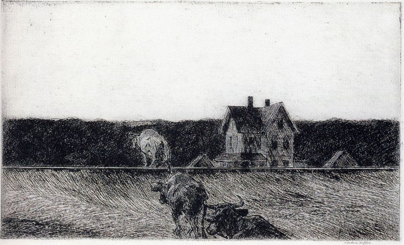 American Landscape
