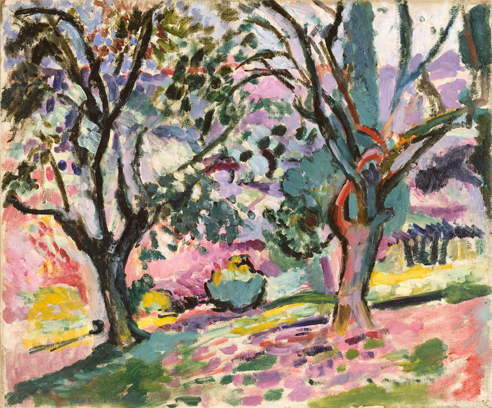 Olive Trees at Collioure