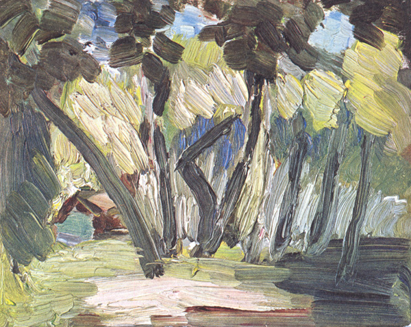 Tahiti Landscape