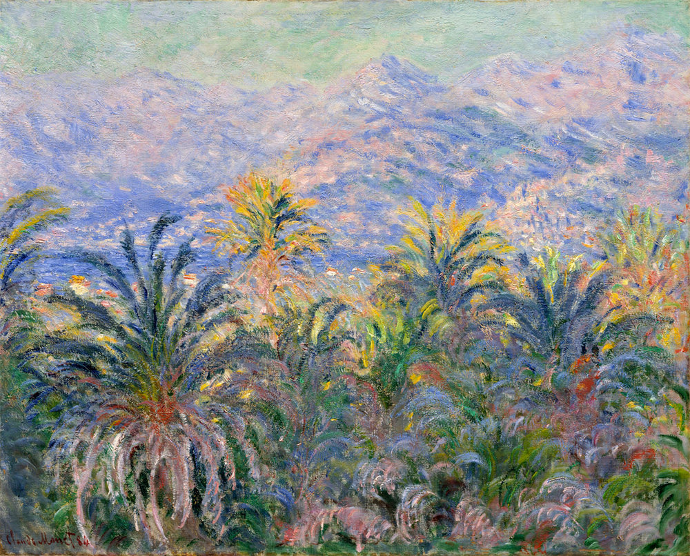 Palm Trees at Bordighera