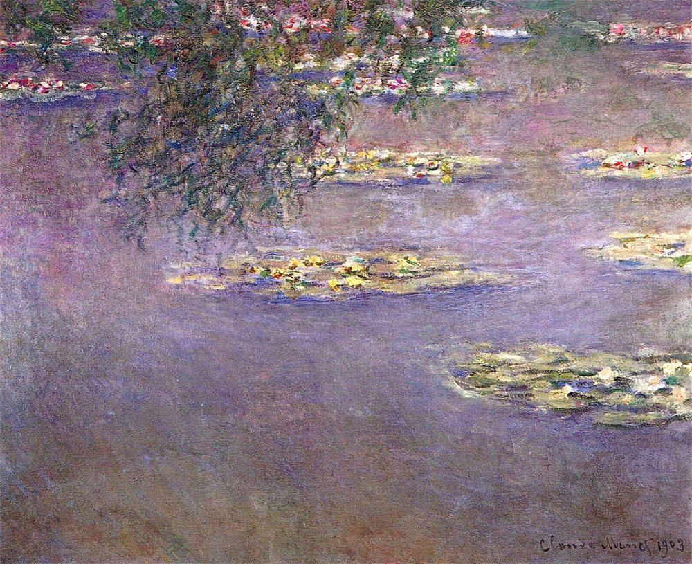 Water Lilies