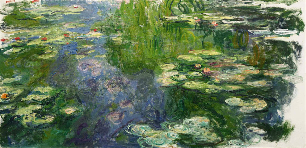 Water Lilies