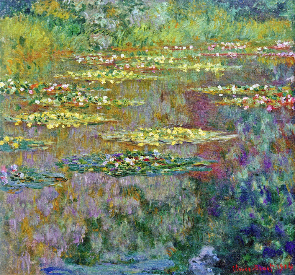 Water Lilies
