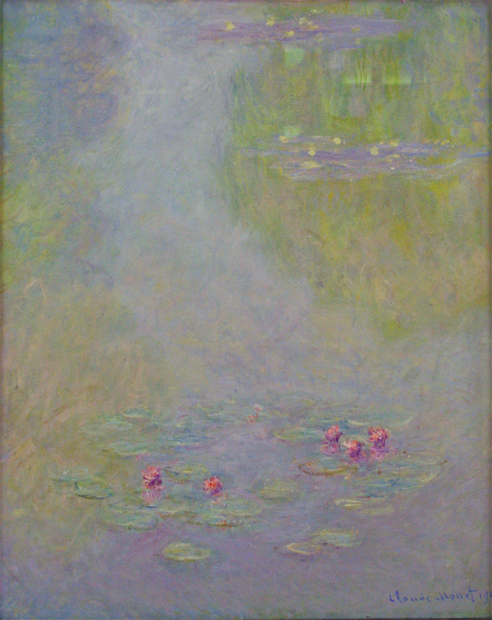 Water Lilies