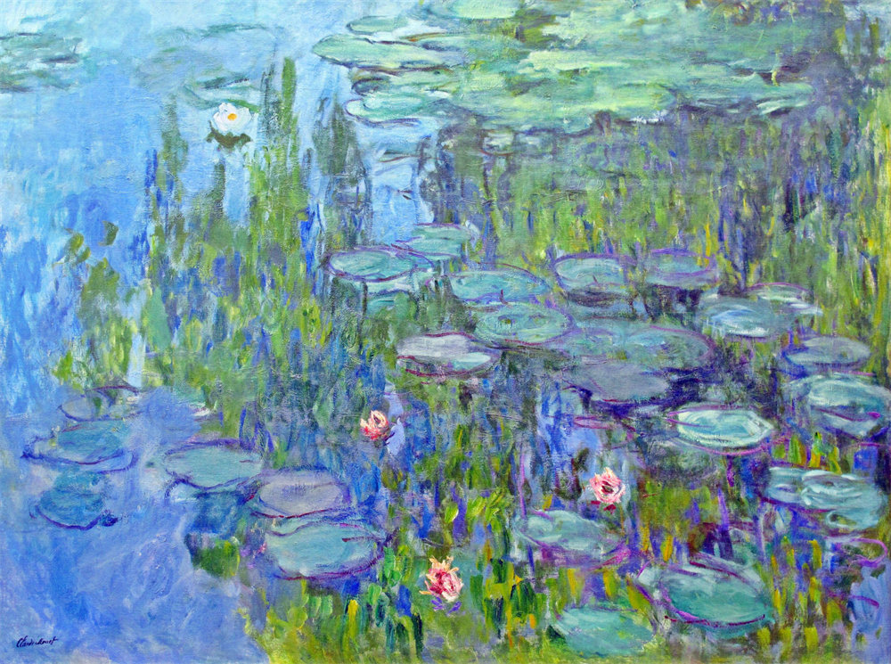 Water Lilies