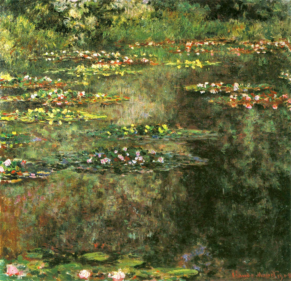Water Lilies