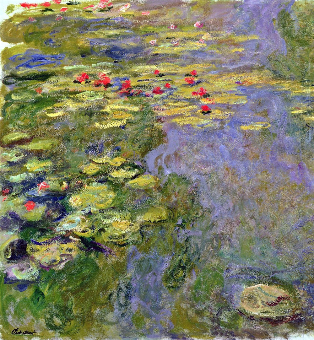 Water Lilies