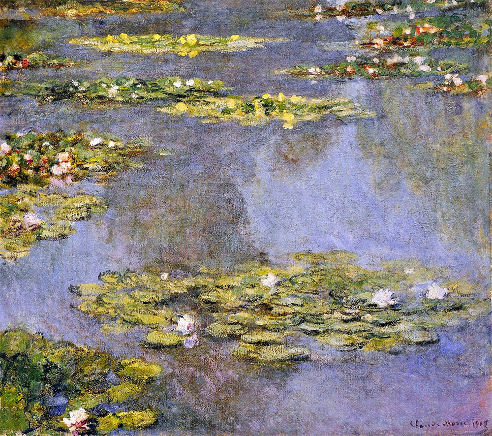 Water Lilies
