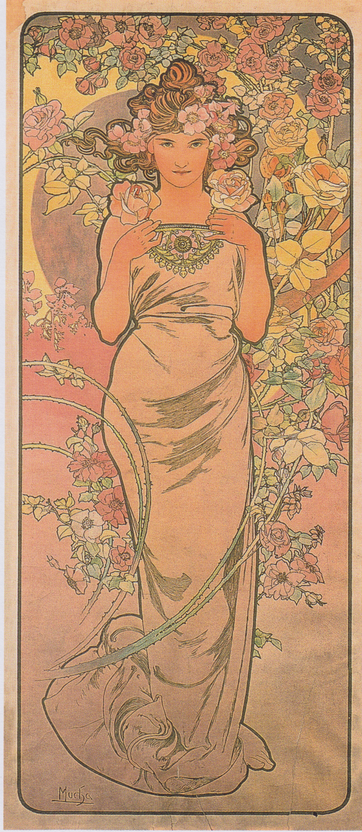 The rose