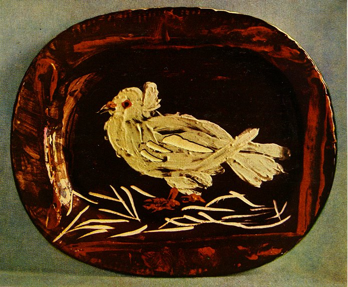 Pigeon