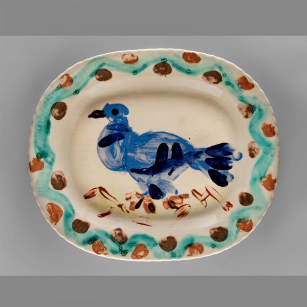 Pigeon