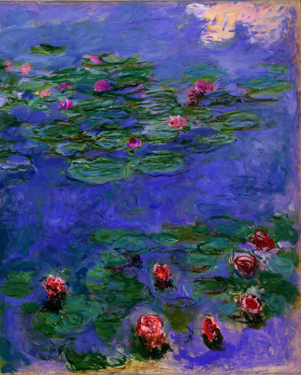 Red Water Lilies 红睡莲