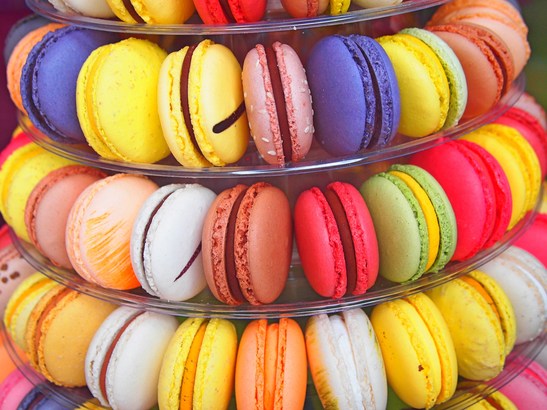 Color Macaroon Gourmet 彩色马卡龙美食