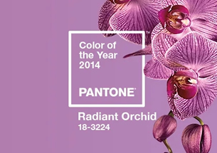 Pantone2014年度代表色：PAN