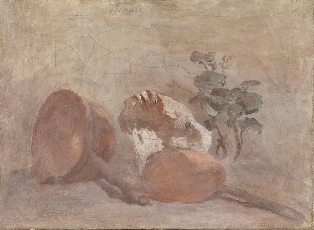 Still life(Natura morta) 静物