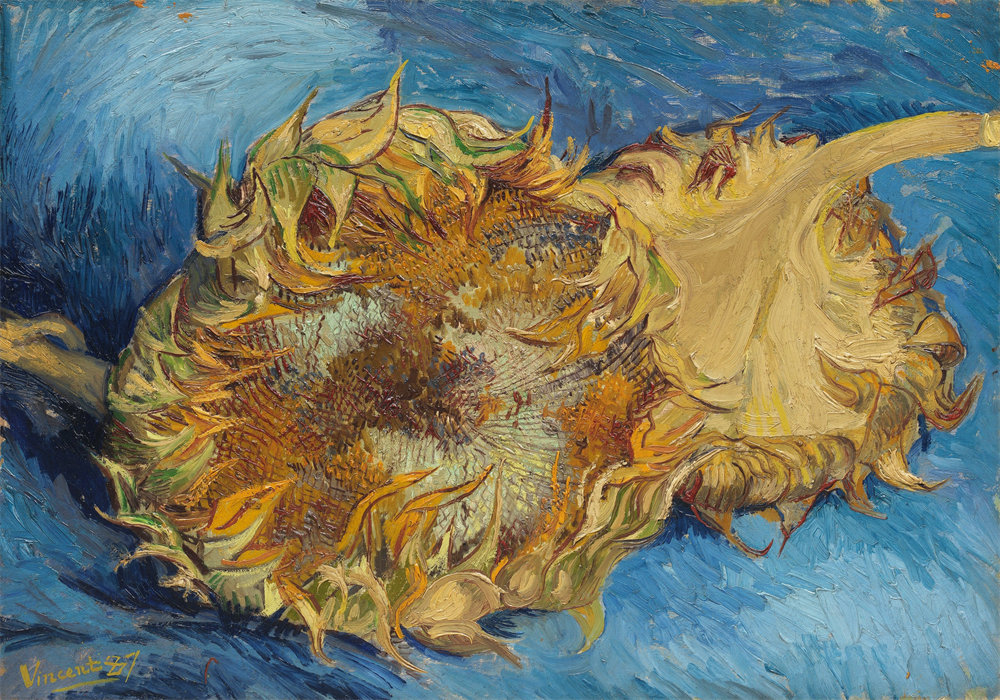 Still Life with Two Sunflowers