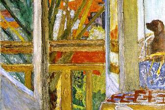 The door window with dog