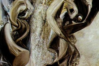 Anti-Protonic Assumption