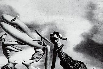 Cannibalism of the Praying Mantis of Lautreamont