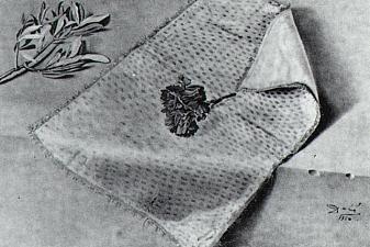 Carnation and Cloth of Gold