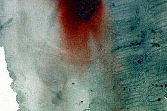 Emissa voce magna expiravit (Mark 15:37)