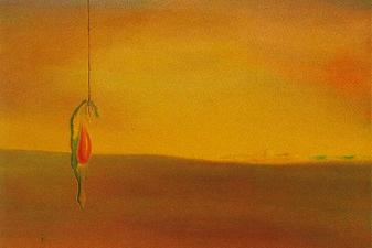 Fried Egg on the Plate without the Plate