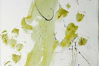 Iesus super mare ambulans (Matthew 14:26)