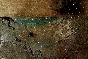 Landscape with Flies