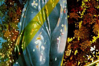 Nike, Victory Goddess of Samothrace, Appears in a Tree Bathed in Light