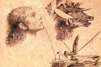 Paranoic Metamorphosis of Gala's Face