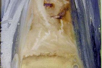 Plange, virgo, accincta. Sacco.