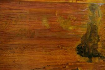 Raphaelesque Hallucination