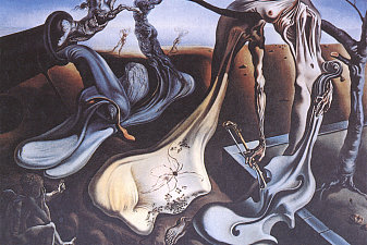 Spider Of The Evening