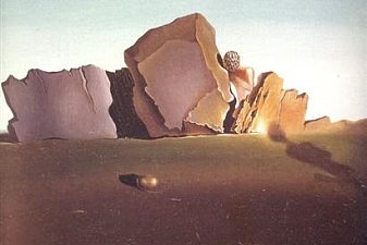 Symbiosis Between the Head and Shell