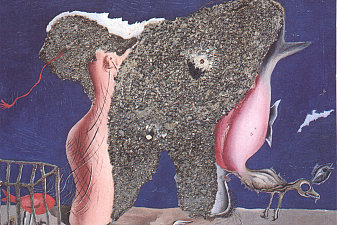 Symbiotic Woman-Animal