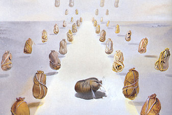 The Path of Enigmas (second version)