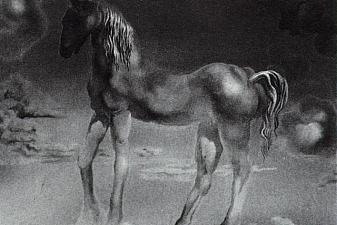 The Unicorn (unfinished)