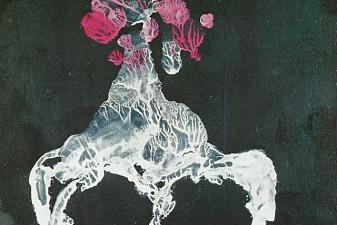 The Vertebrate Grotto - Transfer Series