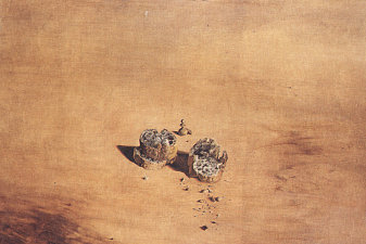 Two Pieces of Bread Expressing the Sentiment of Love