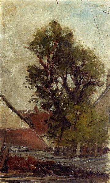 Tree in the farm yard 