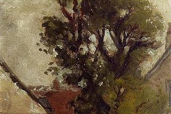 Tree in the farm yard