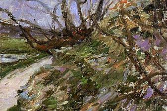 River bank in winter