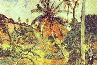 Palm trees on Martinique